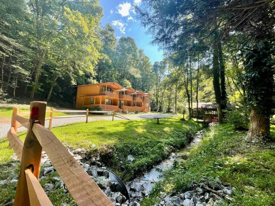 Cute Cabin Creek & Firepit #12 Helen Esterno foto