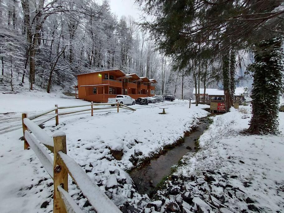 Cute Cabin Creek & Firepit #12 Helen Esterno foto