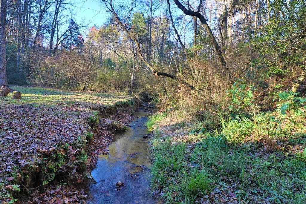 Cute Cabin Creek & Firepit #12 Helen Esterno foto